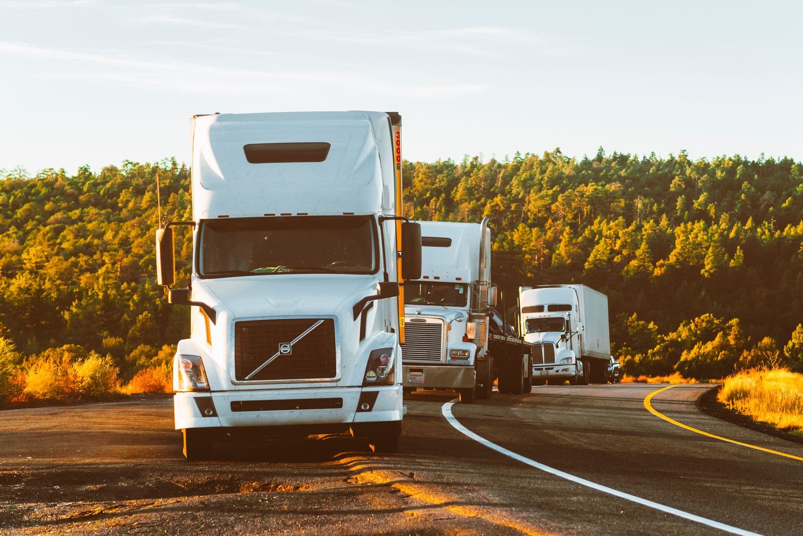 Row of semi-truck tractors parked side by side in evening light